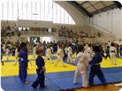 Judo (9).jpg